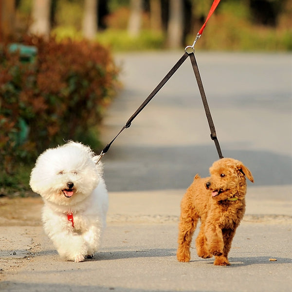 Double Dog Walking Leash-Pup Essentials
