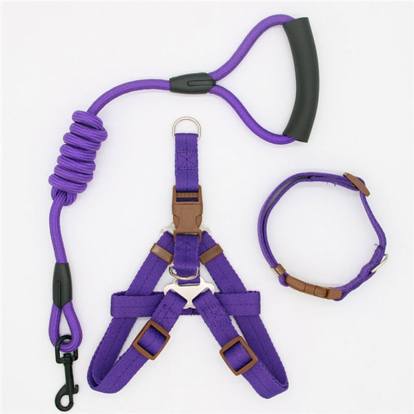 Nylon Running Leash, Collar and Harness-Pup Essentials