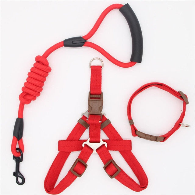 Nylon Running Leash, Collar and Harness-Pup Essentials