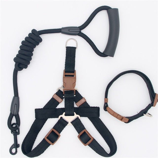 Nylon Running Leash, Collar and Harness-Pup Essentials