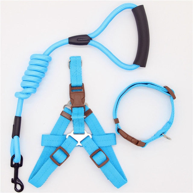 Nylon Running Leash, Collar and Harness-Pup Essentials