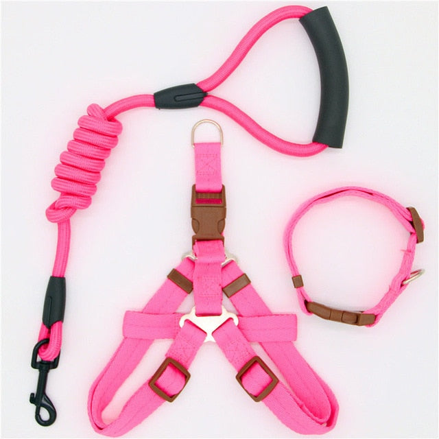 Nylon Running Leash, Collar and Harness-Pup Essentials