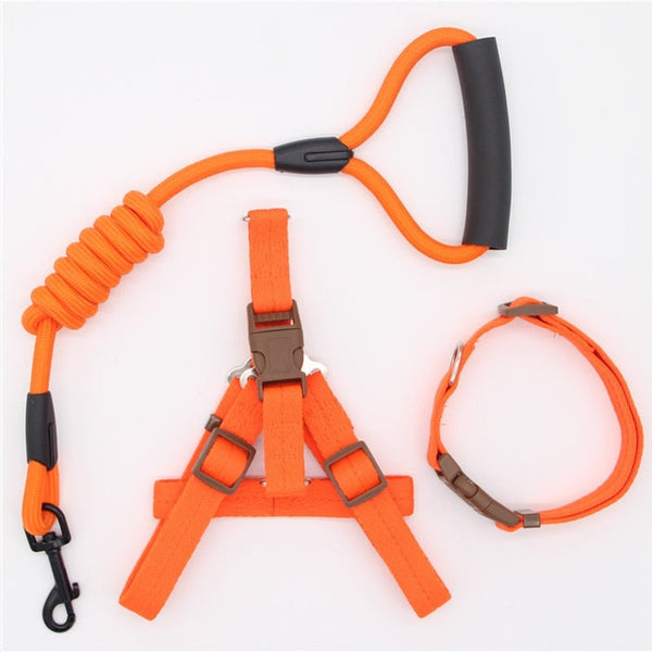Nylon Running Leash, Collar and Harness-Pup Essentials