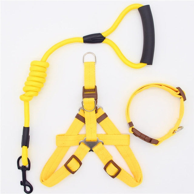 Nylon Running Leash, Collar and Harness-Pup Essentials