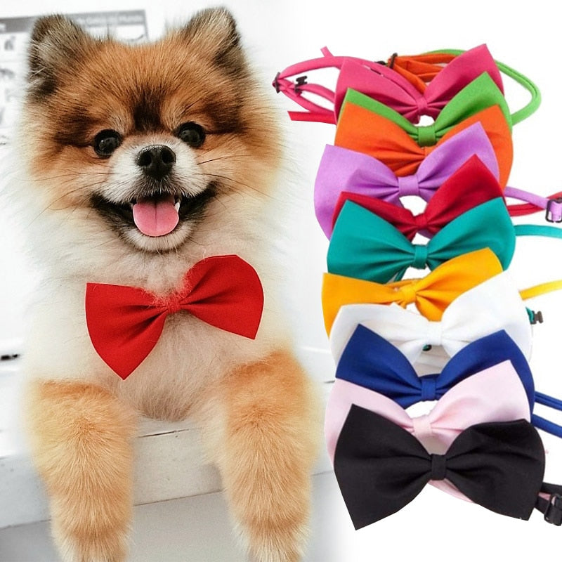 Bowtie Necklace with Adjustable Strap-Pup Essentials