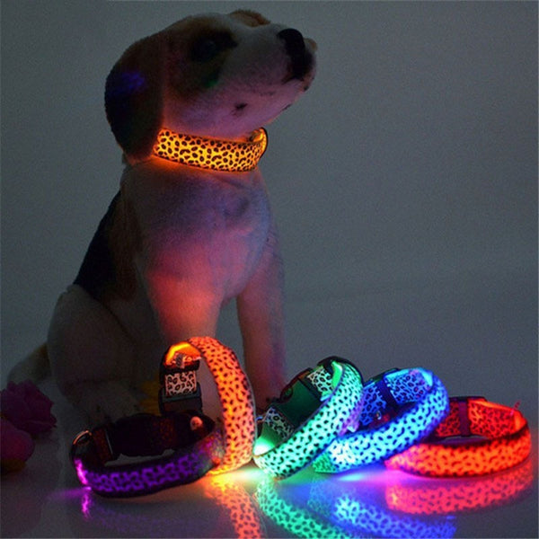 LED Dog Collar with Leopard Print-Pup Essentials