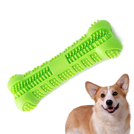 Chew Toy Toothbrush-Pup Essentials