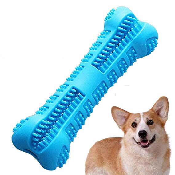 Chew Toy Toothbrush-Pup Essentials