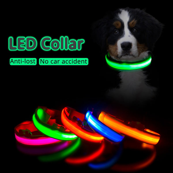 USB Charging Led Dog Collar-Pup Essentials