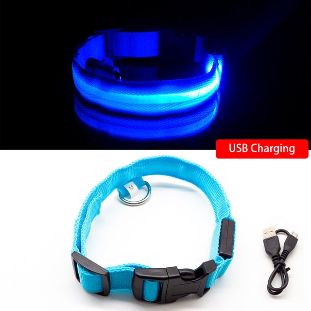 USB Charging Led Dog Collar-Pup Essentials