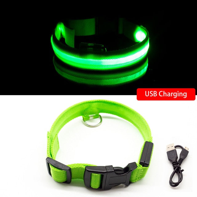 USB Charging Led Dog Collar-Pup Essentials