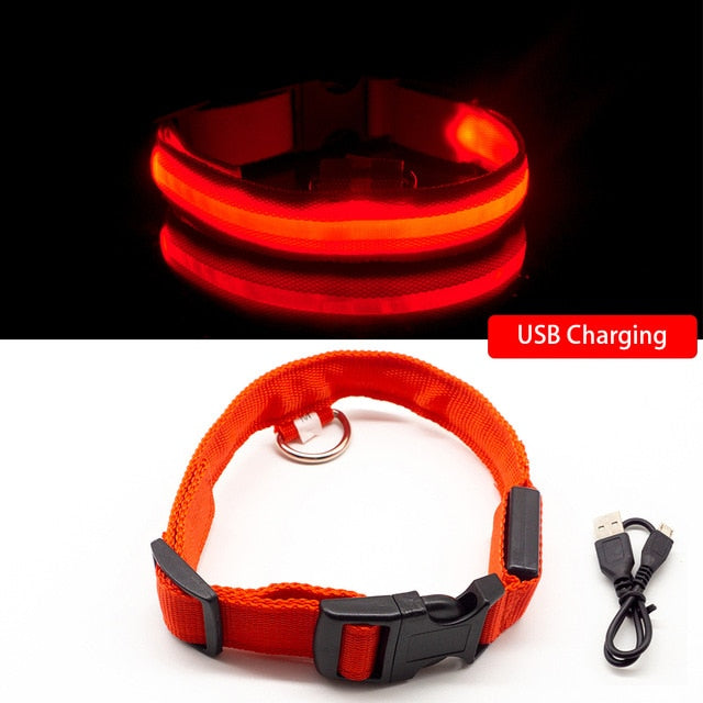 USB Charging Led Dog Collar-Pup Essentials