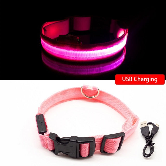 USB Charging Led Dog Collar-Pup Essentials