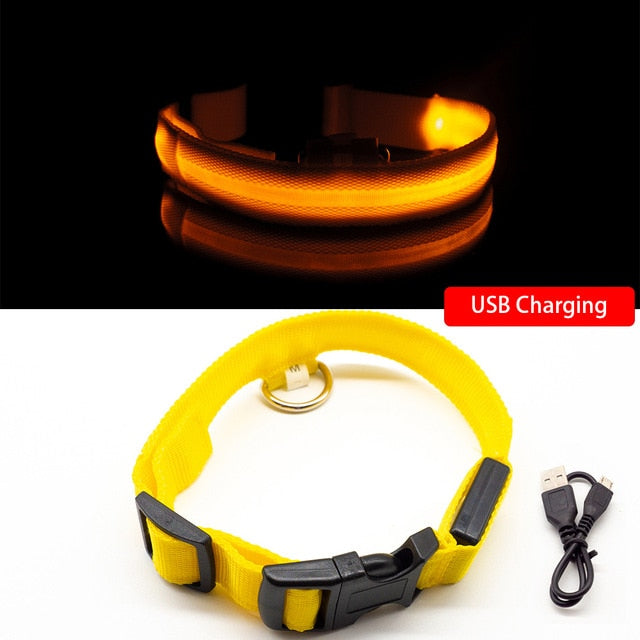 USB Charging Led Dog Collar-Pup Essentials