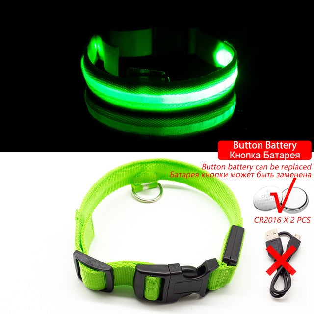 USB Charging Led Dog Collar-Pup Essentials