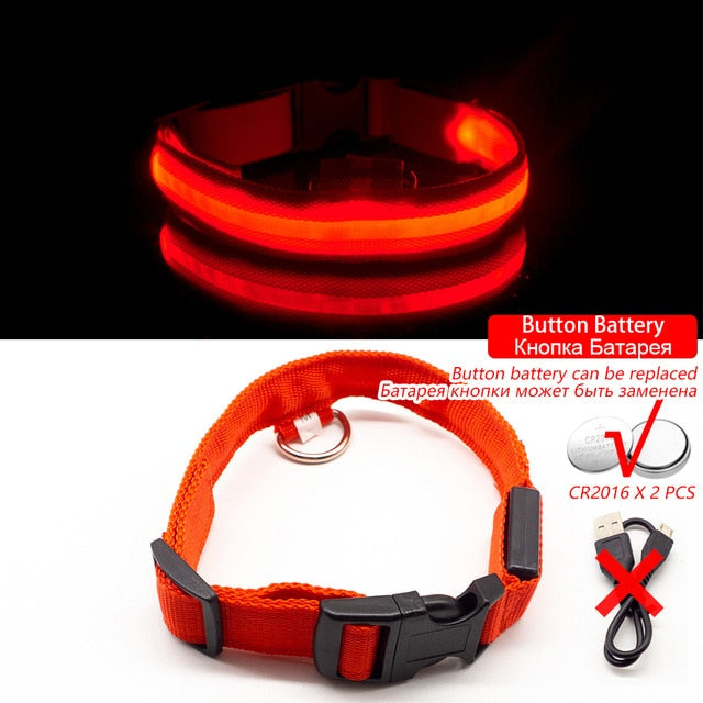 USB Charging Led Dog Collar-Pup Essentials