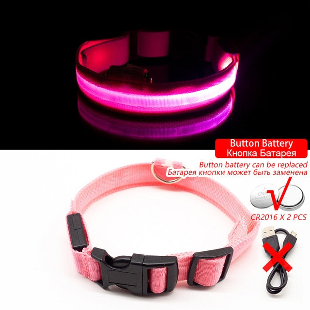 USB Charging Led Dog Collar-Pup Essentials