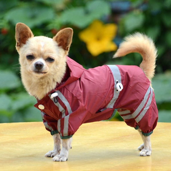 Waterproof Raincoat-Pup Essentials