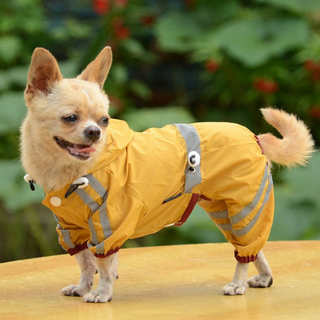 Waterproof Raincoat-Pup Essentials