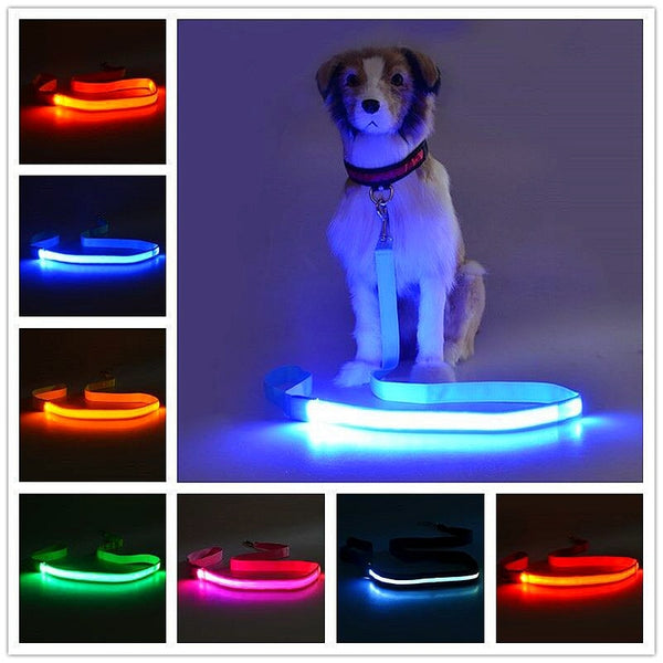 USB Charge LED Safety Glow Leash-Pup Essentials