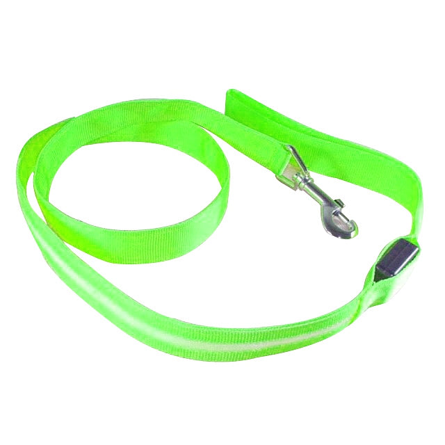 USB Charge LED Safety Glow Leash-Pup Essentials