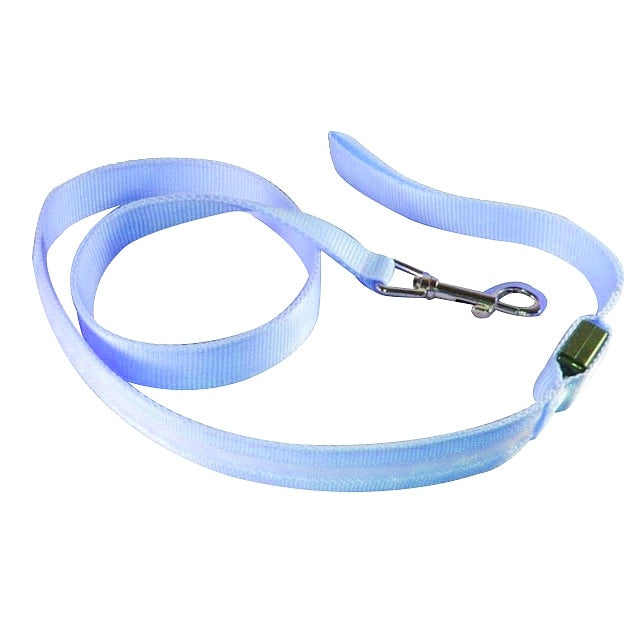 USB Charge LED Safety Glow Leash-Pup Essentials