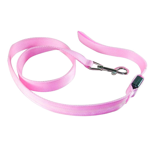 USB Charge LED Safety Glow Leash-Pup Essentials